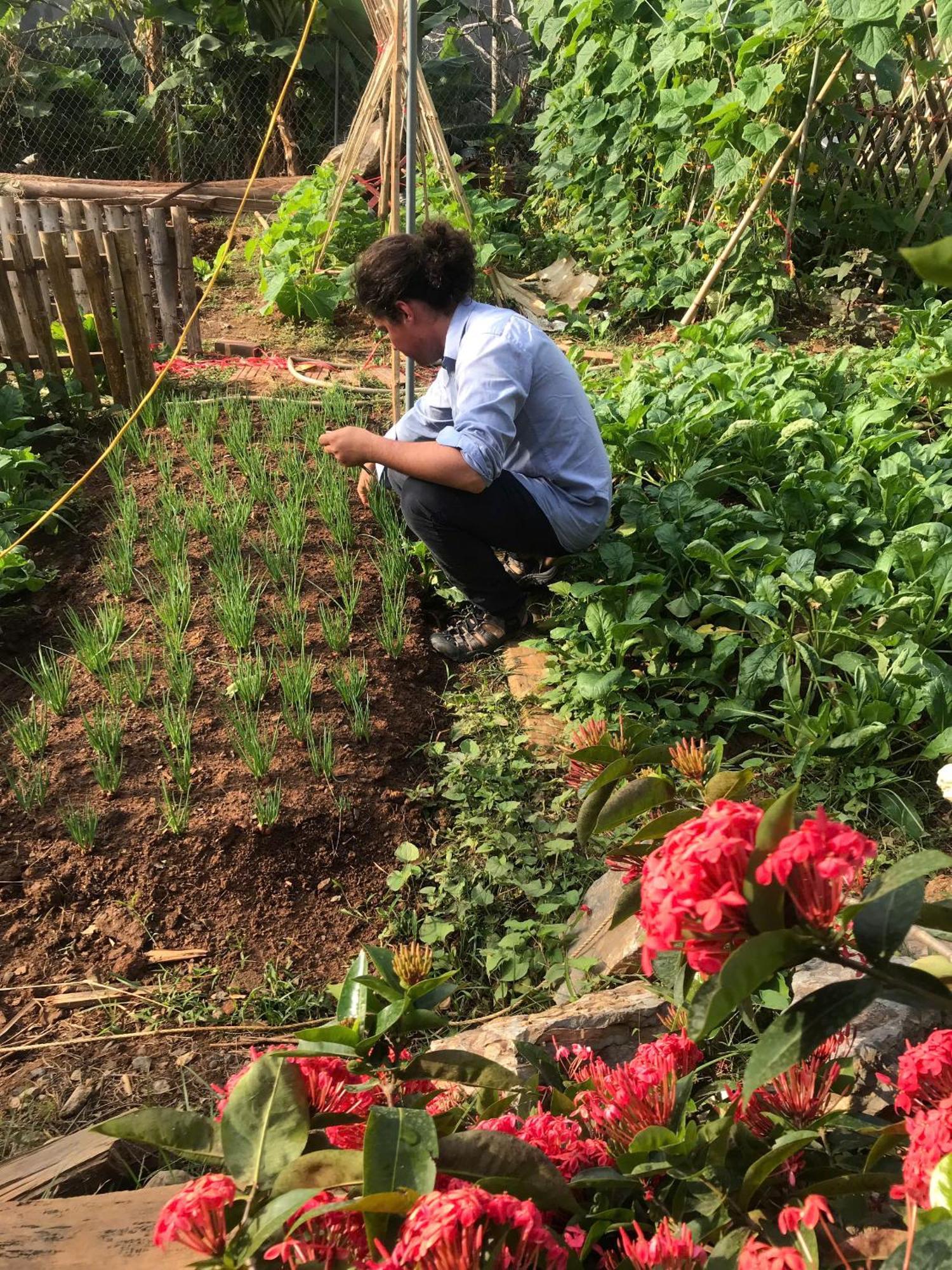 Bee Lucky Homestay Hien Hao Dış mekan fotoğraf