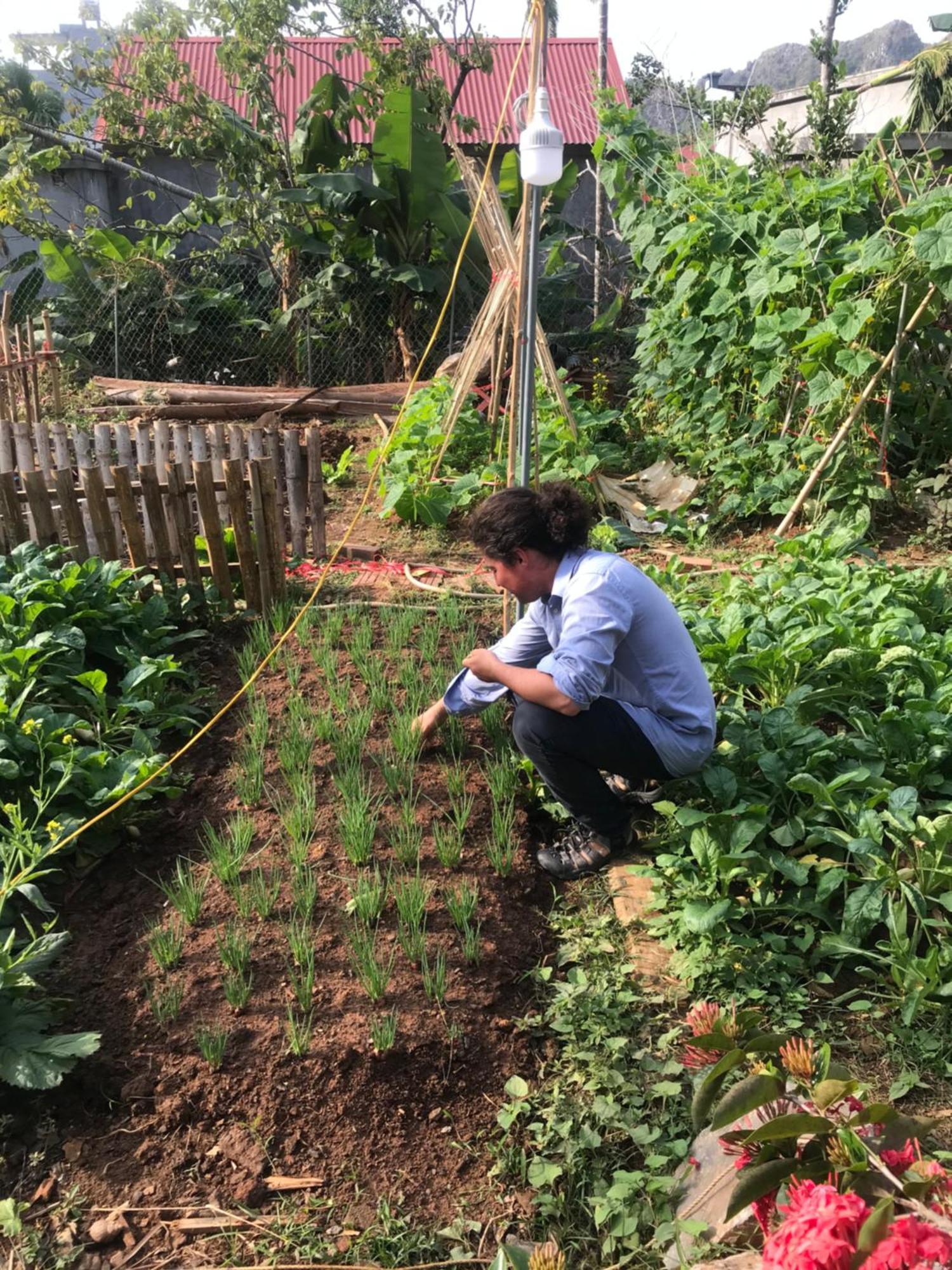 Bee Lucky Homestay Hien Hao Dış mekan fotoğraf