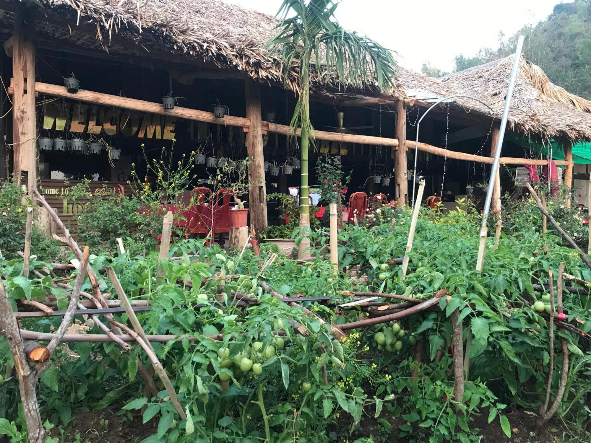 Bee Lucky Homestay Hien Hao Dış mekan fotoğraf