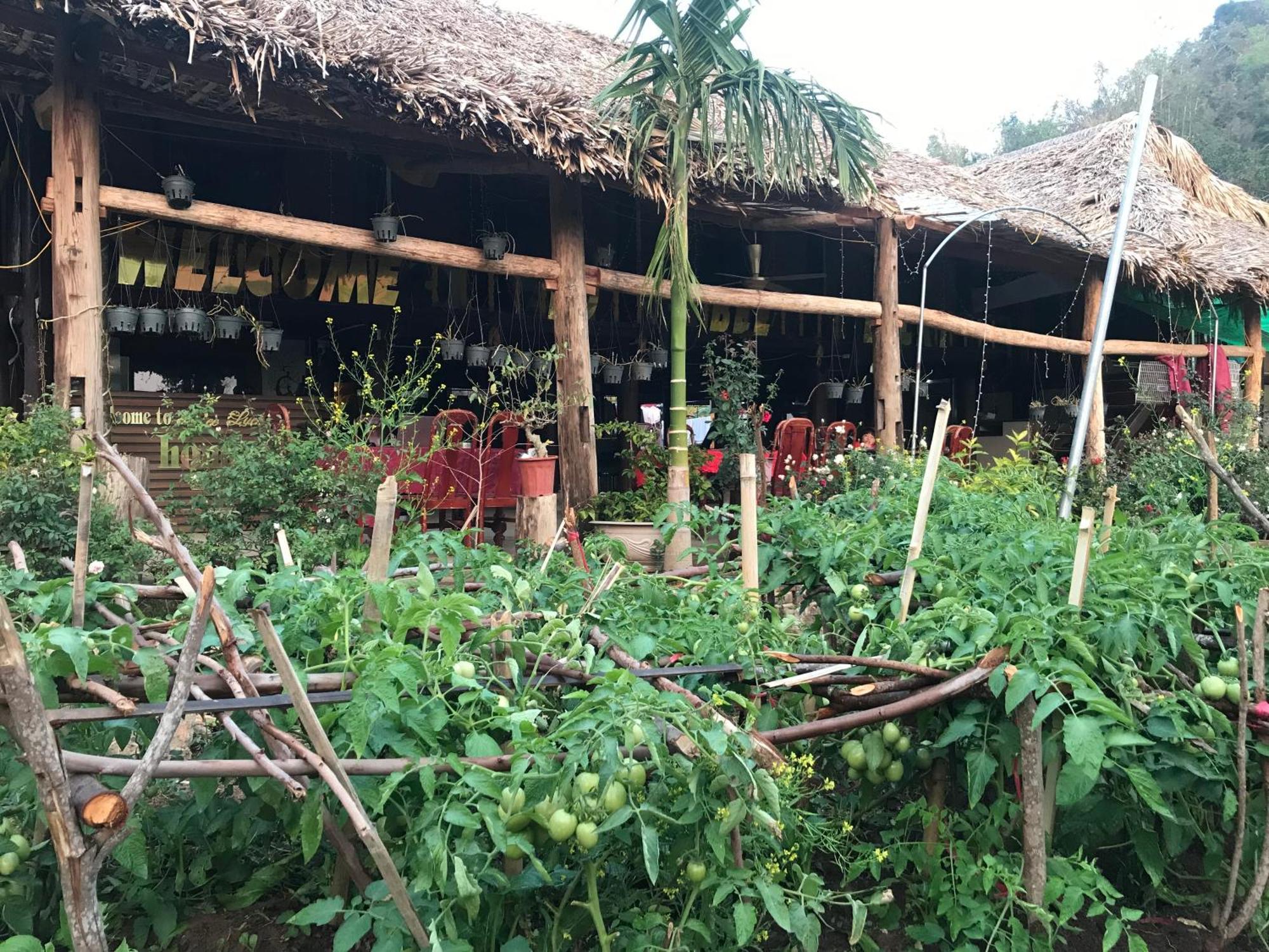 Bee Lucky Homestay Hien Hao Dış mekan fotoğraf